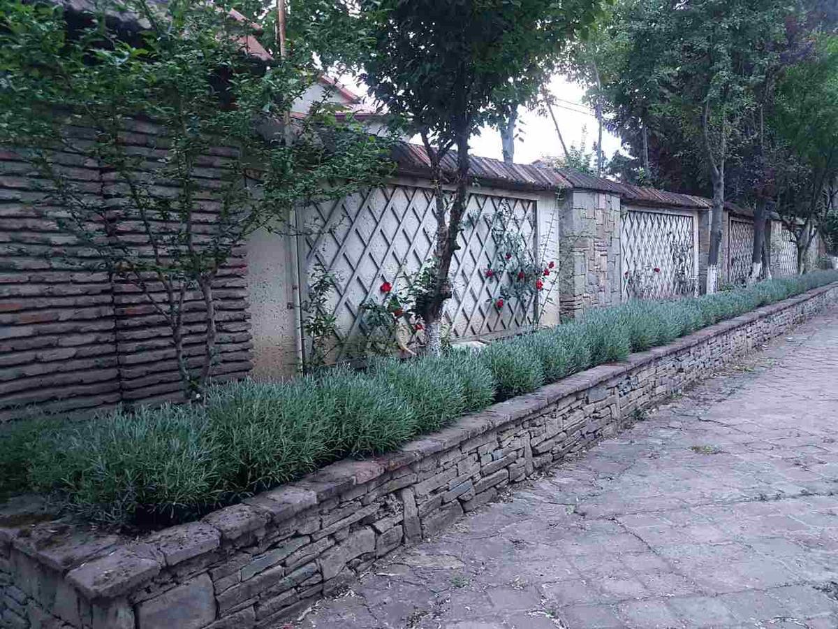 Rare House With Garden Villa Tbilisi Eksteriør bilde