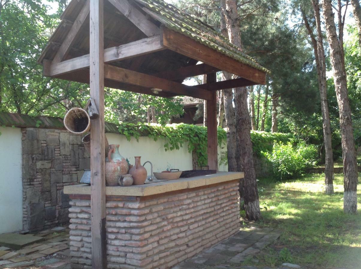 Rare House With Garden Villa Tbilisi Eksteriør bilde